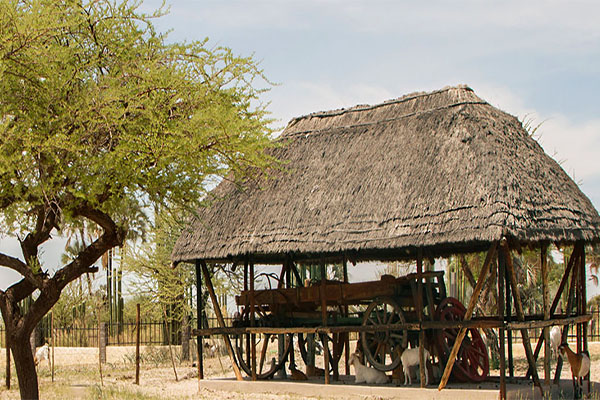 Dr. Rautanen's carriage infront of the church